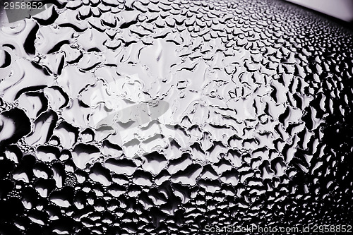 Image of Green drops of water - light from backside. Macro