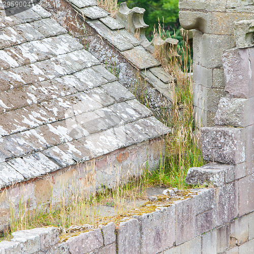 Image of Details of an forgotten old Scottish Abbey