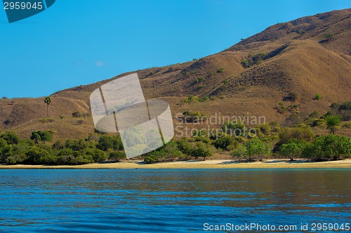 Image of Komodo Island