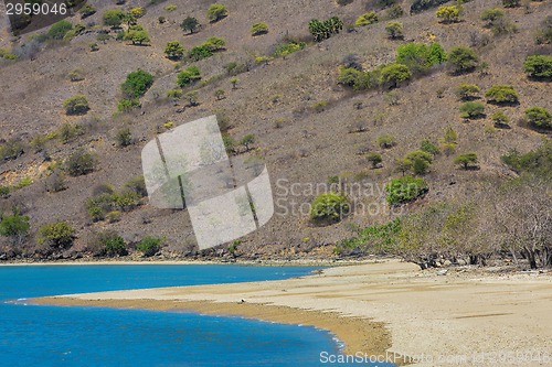 Image of Komodo Island