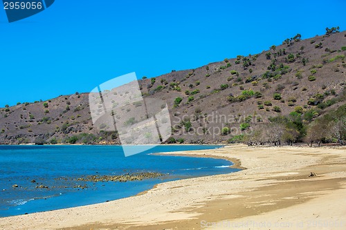 Image of Komodo Island