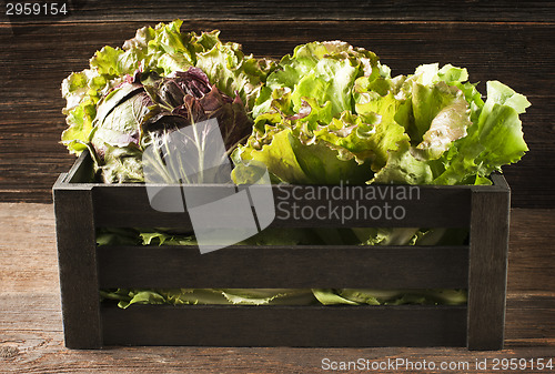 Image of Salad in box