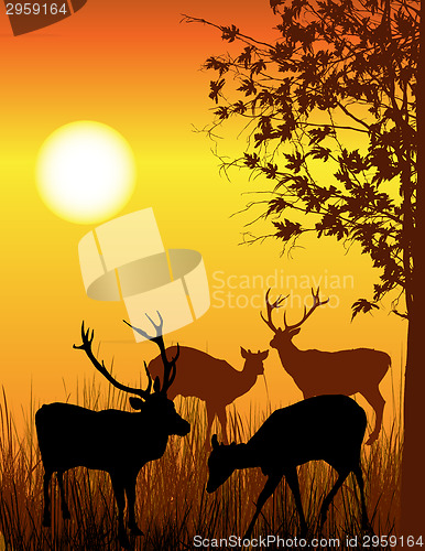 Image of Deer card