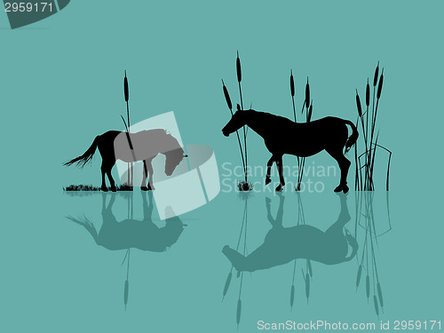 Image of Horses by the water