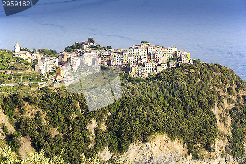 Image of Corniglia Cinque Terre
