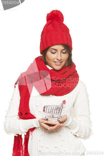 Image of Winter shopping