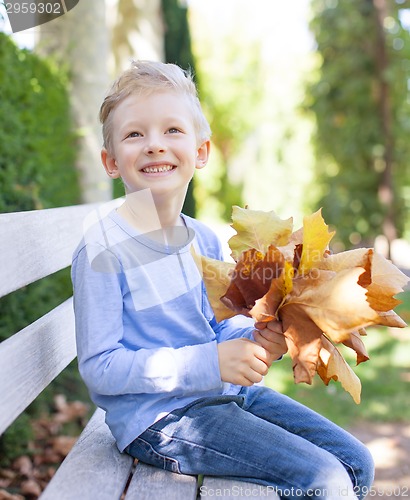 Image of kid at fall