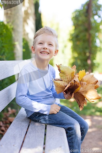 Image of kid at fall