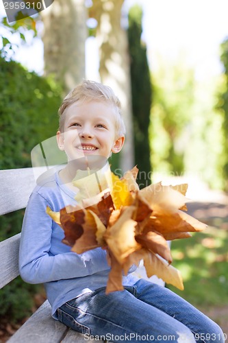 Image of kid at fall
