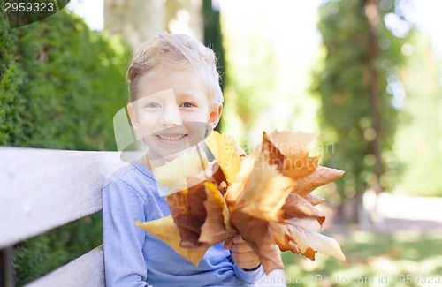 Image of kid at fall