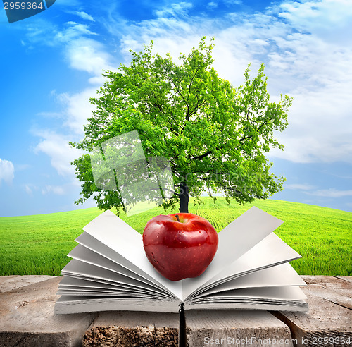 Image of Apple and opened book