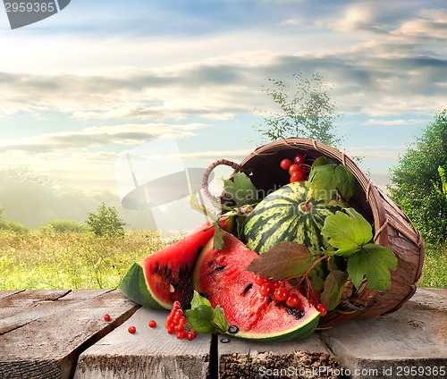 Image of Watermelon and landscape