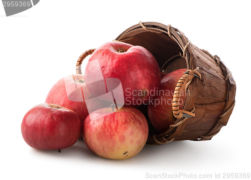 Image of Apples in a basket