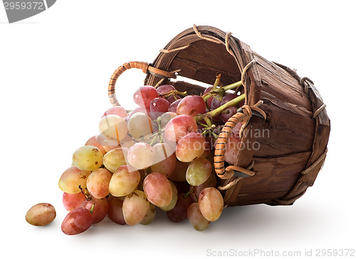 Image of Grapes in a basket