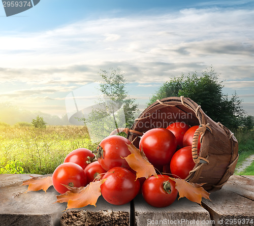 Image of Tomatoes on the table