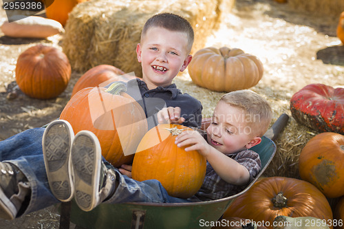 Image of Two Little Boys Playing in Wheelbarrow at the Pumpkin Patch