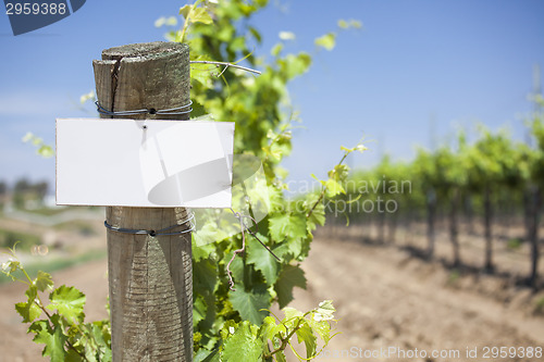 Image of Grape Wine Vineyard with Wooden Post Holding Blank Sign