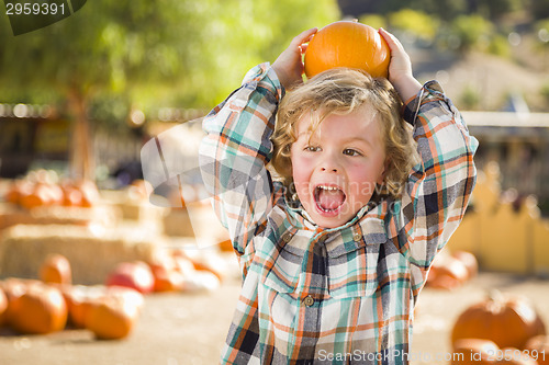 Image of Little Boy Holding His Pumpkin at a Pumpkin Patch