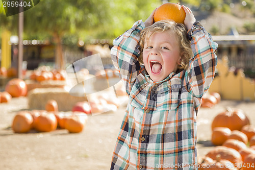 Image of Little Boy Holding His Pumpkin at a Pumpkin Patch