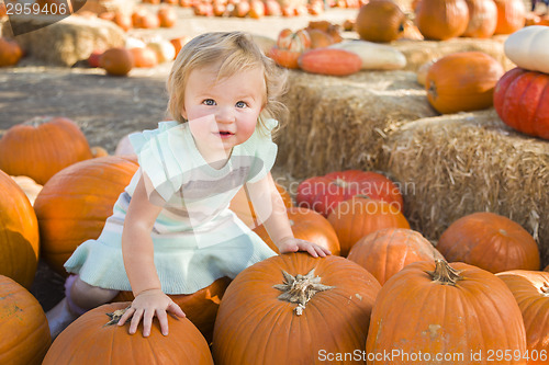 Image of Adorable Baby Girl Holding a Pumpkin at the Pumpkin Patch