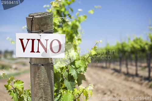 Image of Vino Sign On Vineyard Post