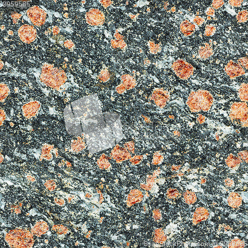 Image of Seamless texture - surface of natural stone with red spots