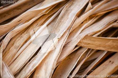 Image of Dry reed - the material for the production of souvenirs.
