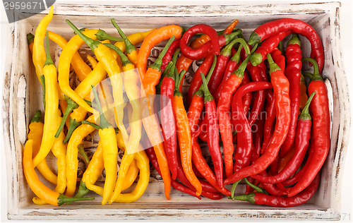 Image of Colored peppers