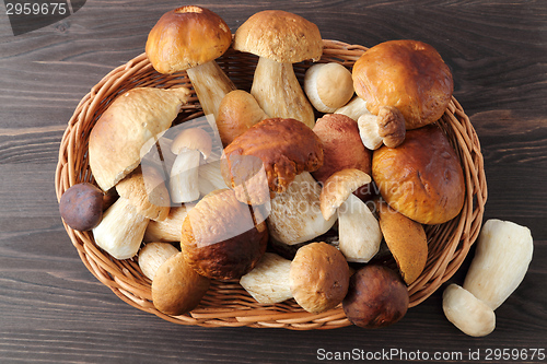 Image of Porcini mushrooms