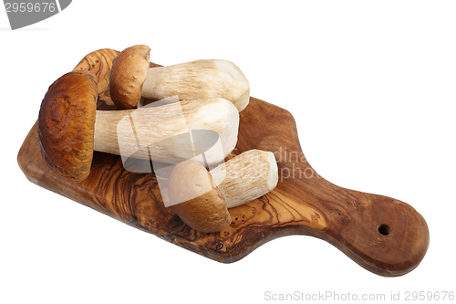 Image of Porcini mushrooms