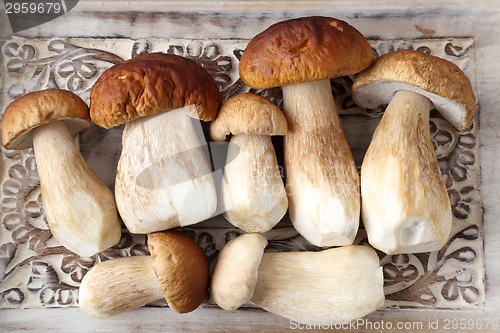 Image of Porcini mushrooms