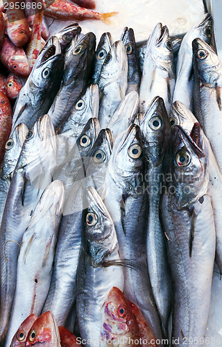 Image of Fish market