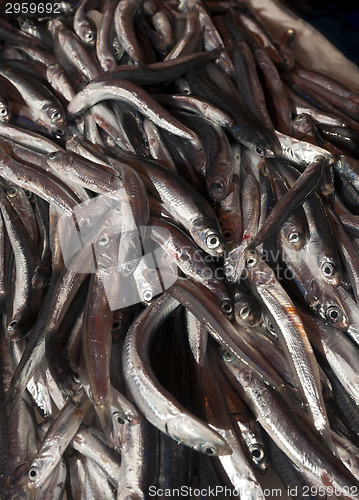 Image of Fish market