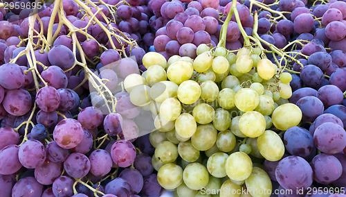 Image of Red and white grapes