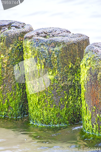 Image of Groin in the Baltic Sea 