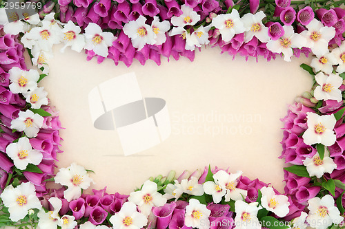 Image of Summer Flower Border