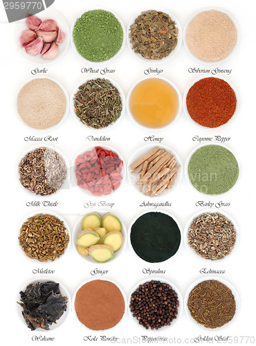 Image of Immune Boosting Food