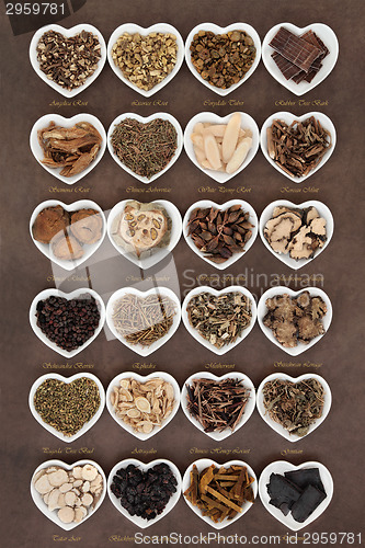 Image of Chinese Herbal Medicine