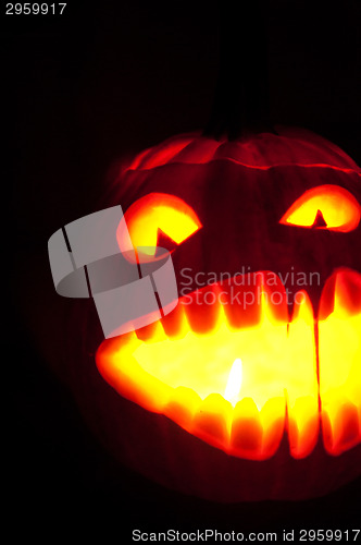 Image of Halloween pumpkin