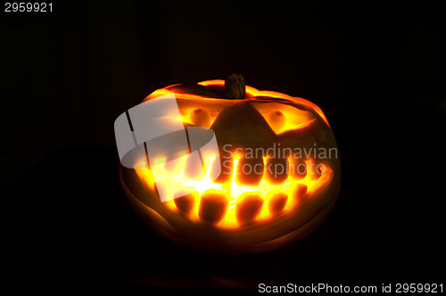 Image of Halloween pumpkin