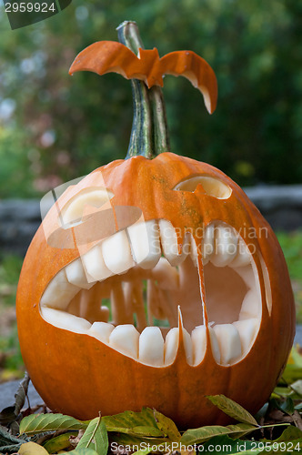 Image of Halloween pumpkin