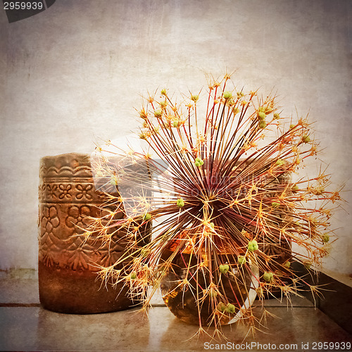 Image of Ceramic vases and decorative plants