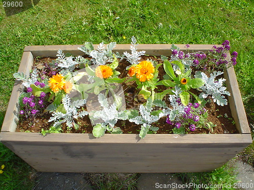 Image of flowerbed