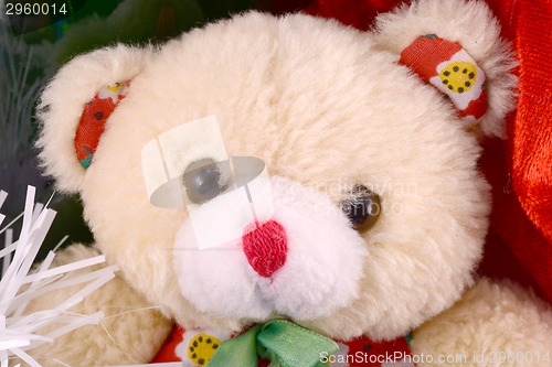 Image of Cute toy bear with christmas gift