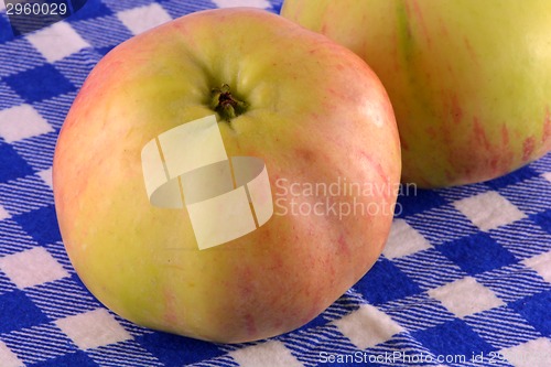 Image of Fresh apple