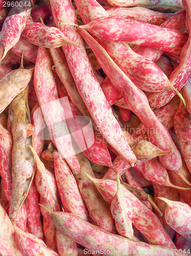 Image of Cranberry beans