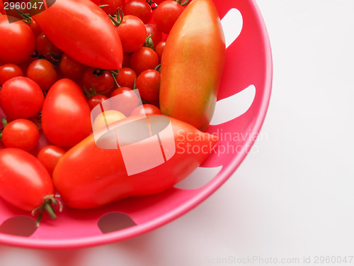 Image of Tomato vegetable