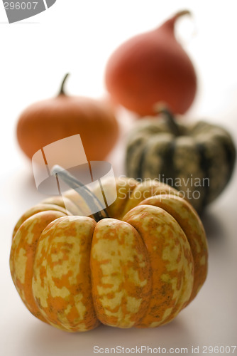 Image of pumpkin