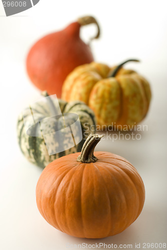 Image of pumpkin