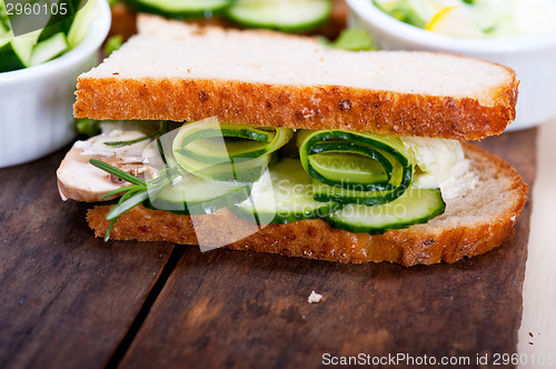 Image of fresh vegetarian sandwich with garlic cheese dip salad